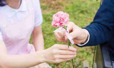 カーネーション