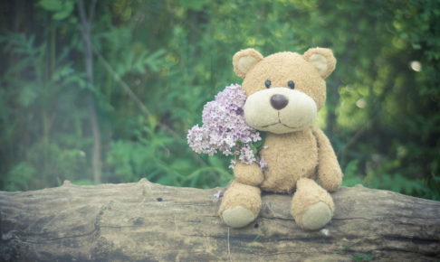 花束を持つぬいぐるみ